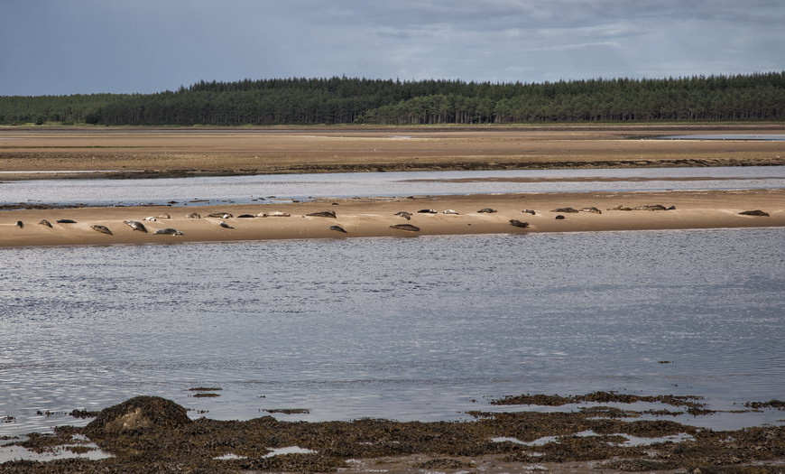 Robben Schottland