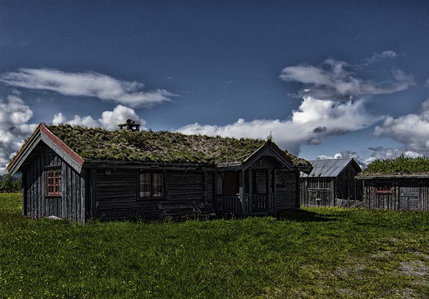 Grasdach